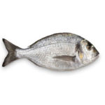 Purchase Salmon Fish Online