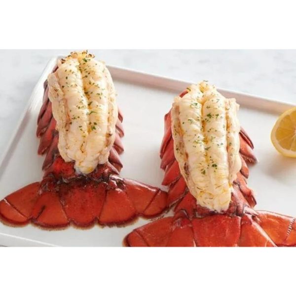 Cold Water Canadian Lobster (sea Catch)