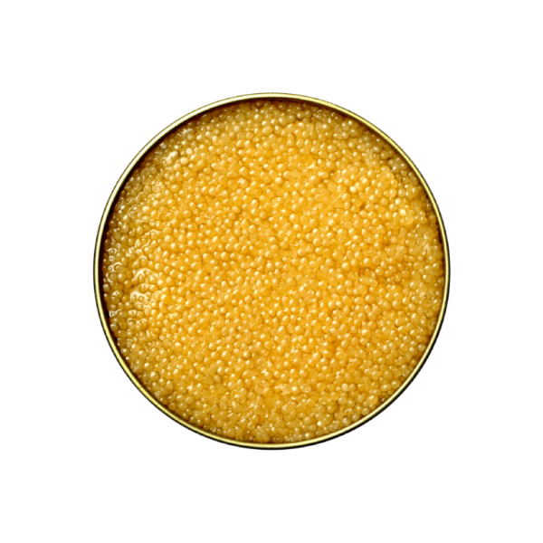 Buy Caviar in Dubai