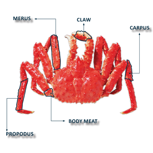 crab-img-white