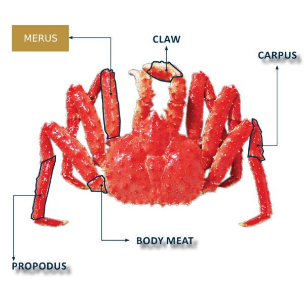 Snow Crab Merus Meat Frozen Pack