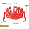King Crab Propodus Meat Frozen Pack