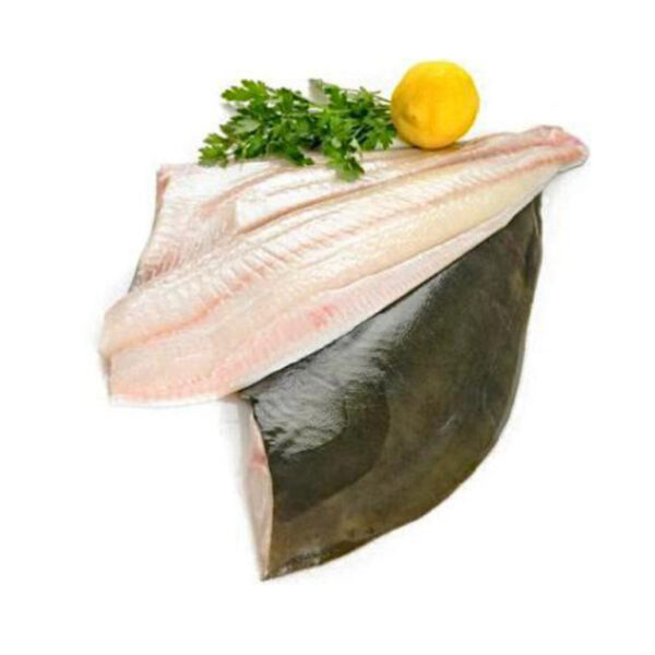 Greenland Halibut Fillet, Frozen/Wild Caught (Russian)