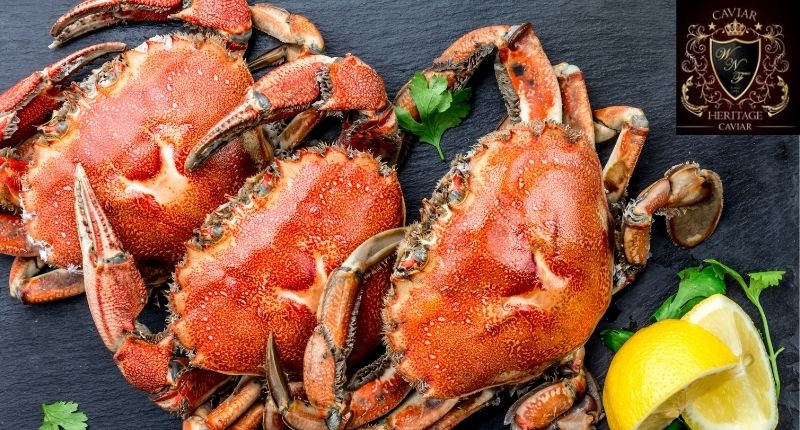 Snow Crab