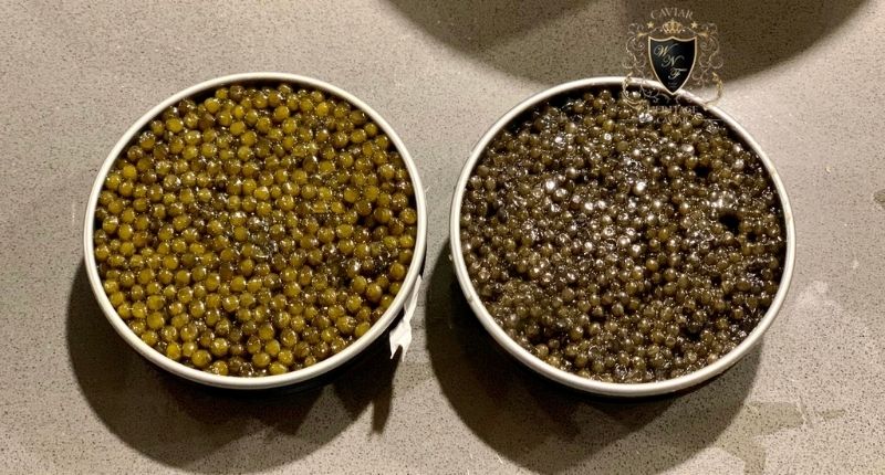 Finest Caviar in Dubai