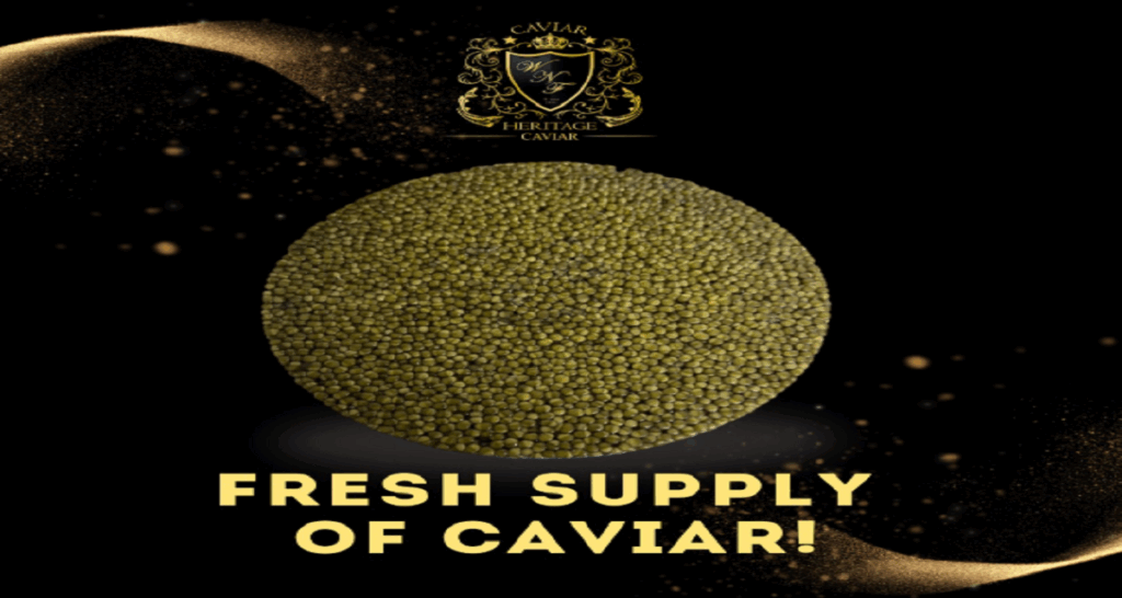 Best Caviar Collections