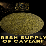 Best Caviar Collections