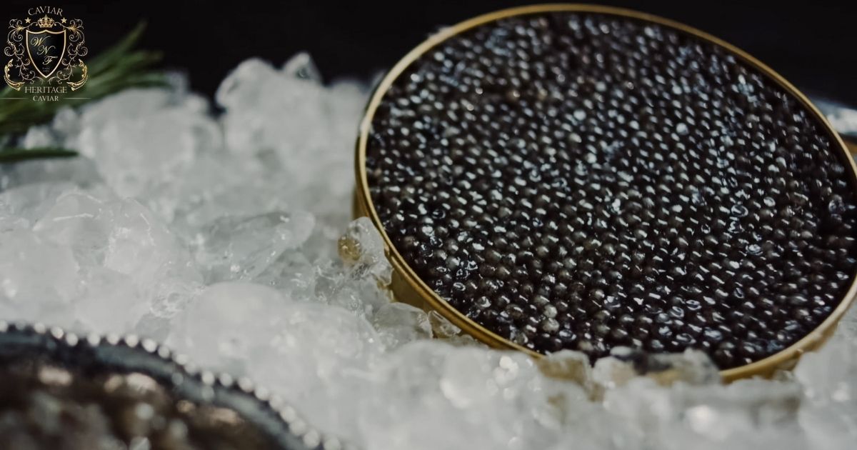 Caviar in Dubai