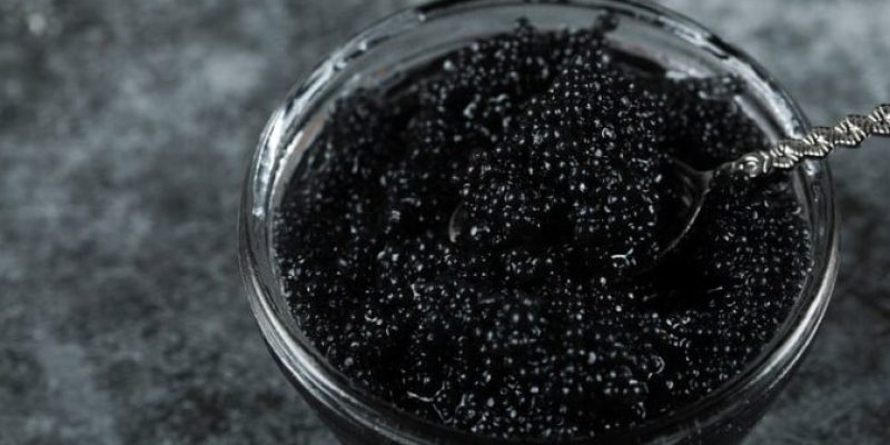 best caviar in dubai